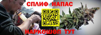 apvp Канаш