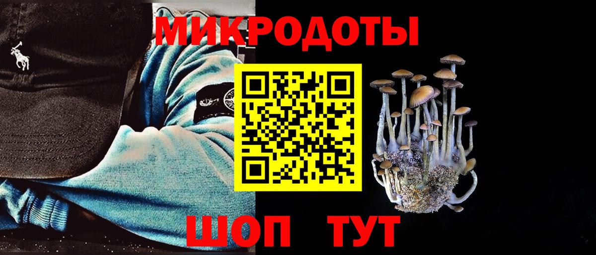 Галлюциногенные грибы Psilocybine cubensis  Псилоцибиновые грибы MAGIC MUSHROOMS  Кирово-Чепецк  Вход с VPN 